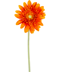 Kunstbloem Gerbera 53 cm oranje