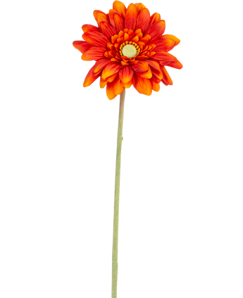 De Kunstbloem Gerbera mini 47 cm zacht oranje is een kunstmadeliefje met gelaagde bloemblaadjes, een geel hart en een lange groene steel, geïsoleerd weergegeven op een witte achtergrond.