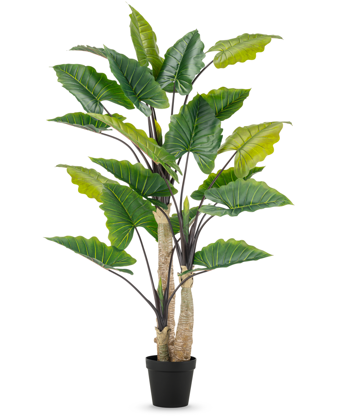 De Kunstplant Alocasia 240 cm is een hoge kunstplant met grote groene bladeren en meerdere stengels in een zwarte pot, tegen een effen witte achtergrond.