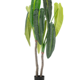 De Kunstplant Anthurium 180 cm heeft twee bruine stelen en grote, langwerpige groene bladeren in verschillende tinten, in een kleine zwarte pot tegen een witte achtergrond.