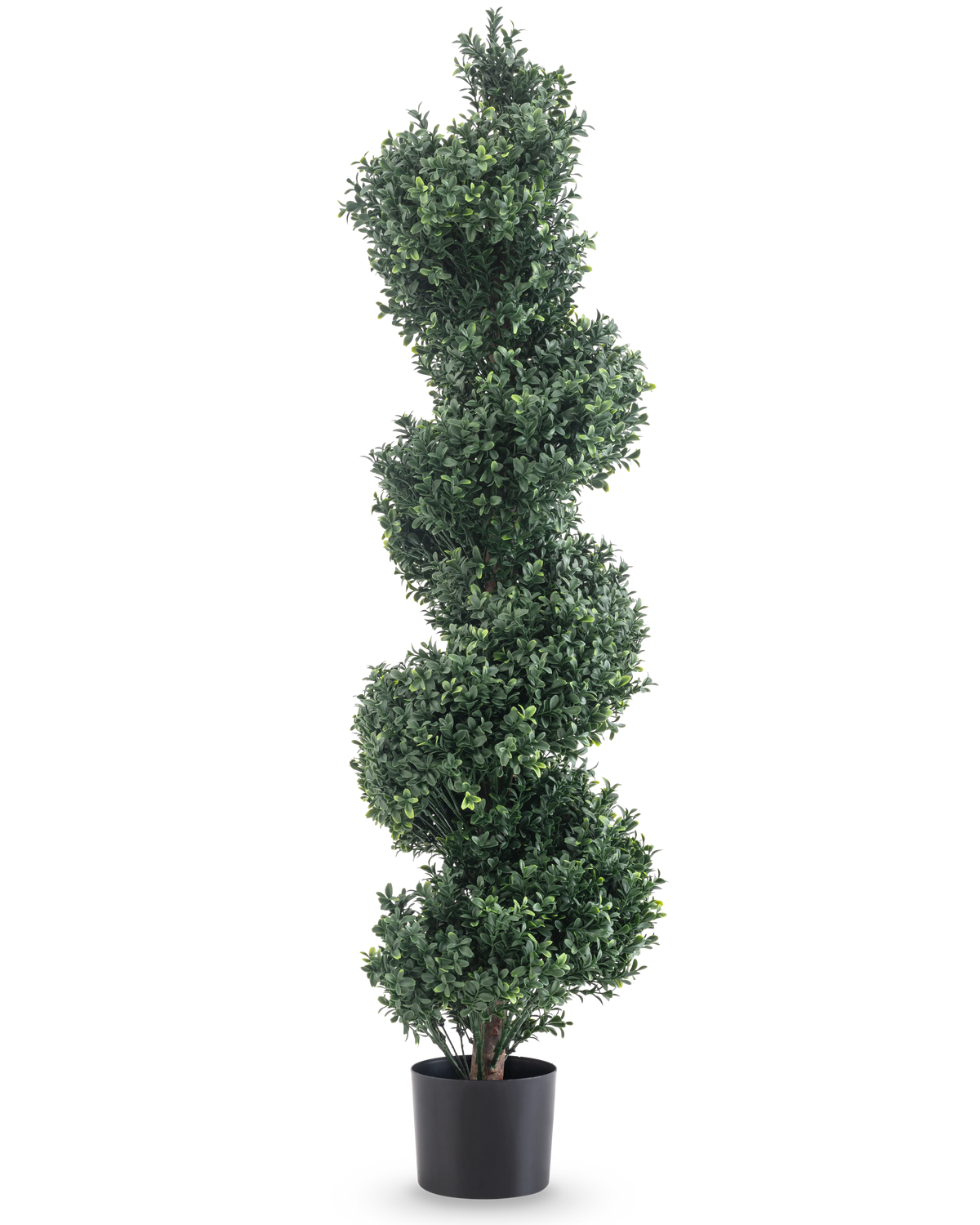 De Kunst Buxus Spiraal Romeinse stijl UV 120cm is een kunst vormsnoei met dicht groen spiraalvormig blad, in een eenvoudige zwarte pot en tegen een witte achtergrond.