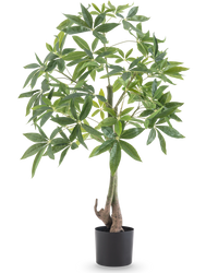 Kunstplant Pachira 120 cm