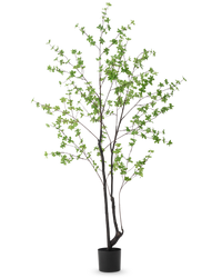 Kunstplant Enkianthus 210 cm