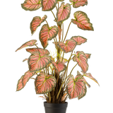 De Kunstplant Caladium 90 cm roze is een potplant met grote, hartvormige bladeren met groene randen en roze harten, rechtop gepresenteerd in een zwarte pot tegen een witte achtergrond.