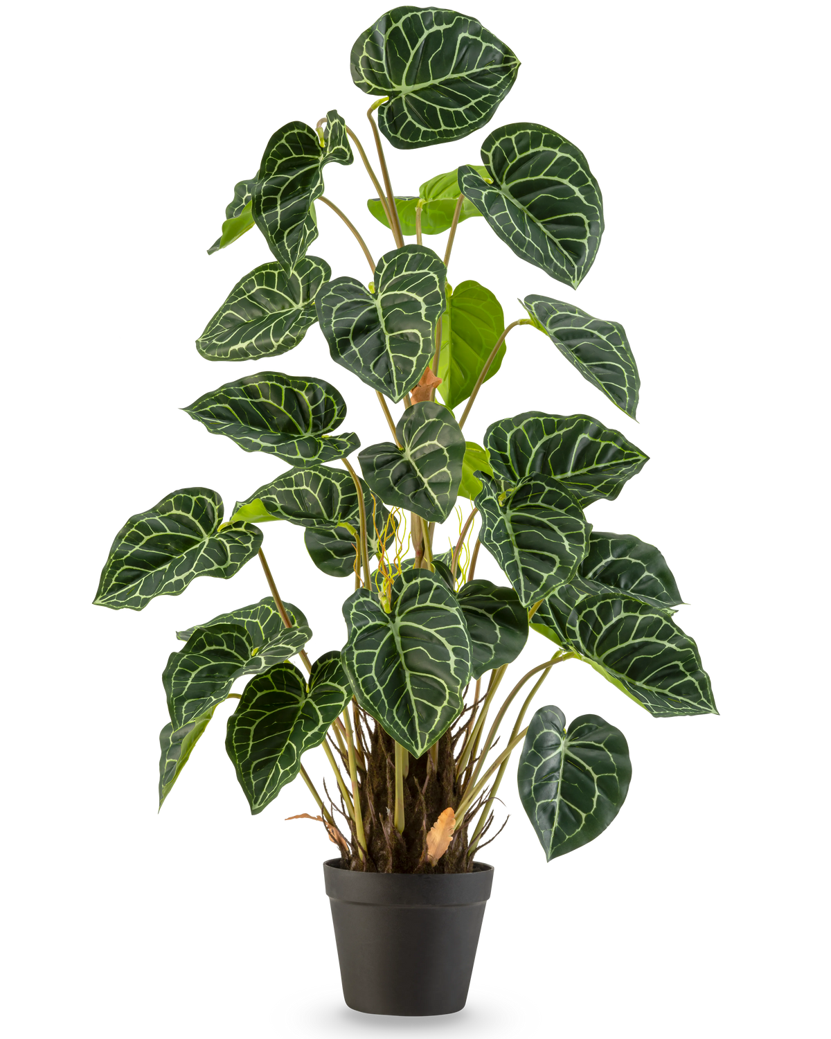 Een Kunstplant Anthurium 90 cm groen met weelderige, hartvormige groene bladeren en opvallende witte nerven, tegen een effen witte achtergrond.