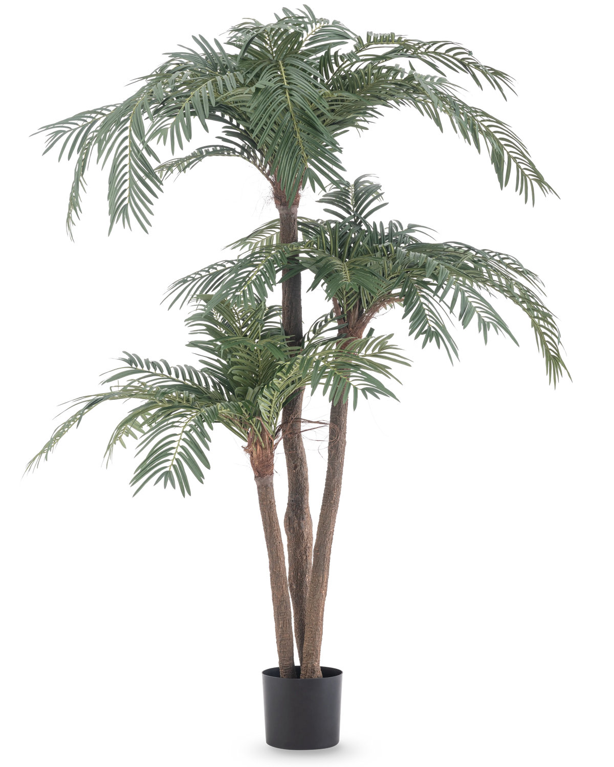 De Kunstpalm Cycas Classic 165 cm heeft meerdere bruine stammen en weelderige groene bladeren in een eenvoudige zwarte pot, tegen een witte achtergrond - een realistische palm die natuurlijke elegantie brengt in elke ruimte.