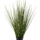 De Kunst Grasplant Ui 50 cm brandvertragend heeft lange, smalle groene stengels die rechtop groeien en iets uitlopen in een kleine zwarte plastic pot, tegen een effen witte achtergrond.