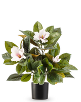 De Kunstplant Magnolia in pot 46 cm is een onderhoudsvriendelijke plant met grote, glanzende groene bladeren en drie lichtroze bloemen met een geel hart, in een eenvoudige zwarte pot tegen een witte achtergrond.