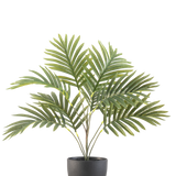 De Kunstpalm Phoenix 50 cm heeft lange groene gebogen bladeren in een ronde zwarte decoratieve pot, tegen een effen witte achtergrond.