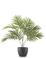 De Kunstpalm Phoenix 50 cm heeft lange groene gebogen bladeren in een ronde zwarte decoratieve pot, tegen een effen witte achtergrond.