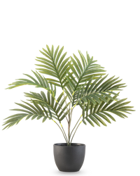 Kunstpalm Phoenix 50 cm in sierpot zwart