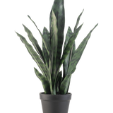 De Kunstplant Sansevieria Zeylanica 44 cm heeft lange, rechtopstaande groene bladeren met bonte patronen, gepresenteerd in een eenvoudige zwarte pot tegen een effen witte achtergrond.