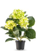 De Kunstplant Hortensia Groen 35 cm heeft grote, ronde trossen lichtgroene bloemen en donkergroene bladeren in een pot, tegen een effen witte achtergrond.