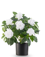 Een witte Kunstbloem Petunia plant, 25 cm hoog, met weelderige groene bladeren en meerdere bloeiende witte bloemen in een zwarte pot tegen een effen witte achtergrond.
