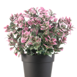 De Kunstplant Eucalyptus paars in pot UV 22 cm heeft paarse eucalyptusbladeren in een donkere pot, tegen een effen witte achtergrond.