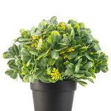 De Kunstplant Groen/geel UV 21 cm heeft groene bladeren en kleine gele bloemen in een effen zwarte pot, tegen een witte achtergrond.