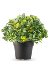De Kunstplant Groen/wit 21 cm UV is een kunstplant in pot met dichte groene en witte bladeren in een eenvoudige zwarte pot, afgebeeld tegen een witte achtergrond.
