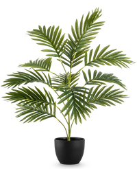 Kunstpalm Phoenix 65 cm in sierpot zwart