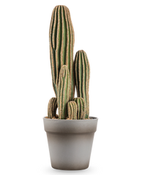 Kunst Cactus 41 cm