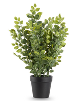 De Kunstplant Groen 35 cm is een realistische kunstplant in pot met weelderige groene bladeren in een eenvoudige zwarte pot, afgebeeld tegen een effen witte achtergrond.