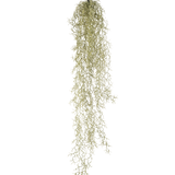 Een Kunst hangplant Gras 91 cm met lange, slepende lichtgroene bladeren hangt aan een zwart koord tegen een effen witte achtergrond.