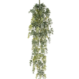 De Kunst hangplant Eucalyptus 60 cm heeft realistische, kleine ronde groene bladeren die naar beneden vallen, waardoor een levensechte kunstmatige eucalyptus ontstaat tegen een effen witte achtergrond.