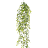 De Kunst hangplant Buxus 80 cm is een kunst hangplant met lange, slingerende groene ranken en kleine ronde blaadjes tegen een witte achtergrond.