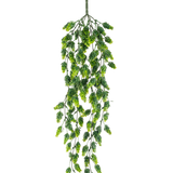 De Kunst hangplant Hop UV 80 cm is een hangende kunstplant met trapsgewijze groene bladeren aan lange, slanke stelen, geïsoleerd afgebeeld op een witte achtergrond.