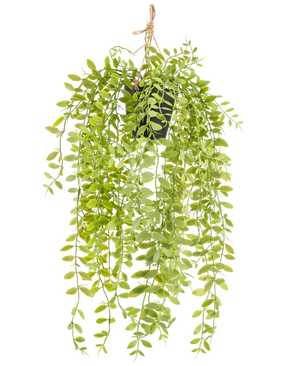 Kunstplanten | Kunstplanten , kunstbloemen en meer Kunstplanten | Kunstplanten , kunstbloemen en meer