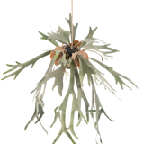 De Kunst hangplant Staghorn op bal 89 cm heeft lange, gevorkte groene bladeren en bruine schildbladeren, hangend aan een koord tegen een effen witte achtergrond.