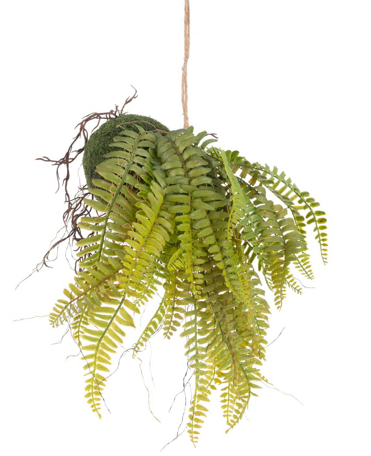 De Kunst hangplant Varen op bal 26 cm heeft levensechte groene bladeren in een met mos bedekte bol, opgehangen aan een touwtje - een ideaal decoratief stuk voor elk interieur tegen een witte achtergrond.