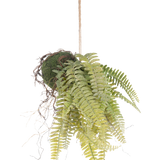 De Kunst hangplant Frosted Varen op bal 76 cm heeft levensechte groene varenbladeren en blootliggende wortels in kokedama stijl, hangend aan een bruin koord - perfect om blijvend groen toe te voegen aan elke kamer.