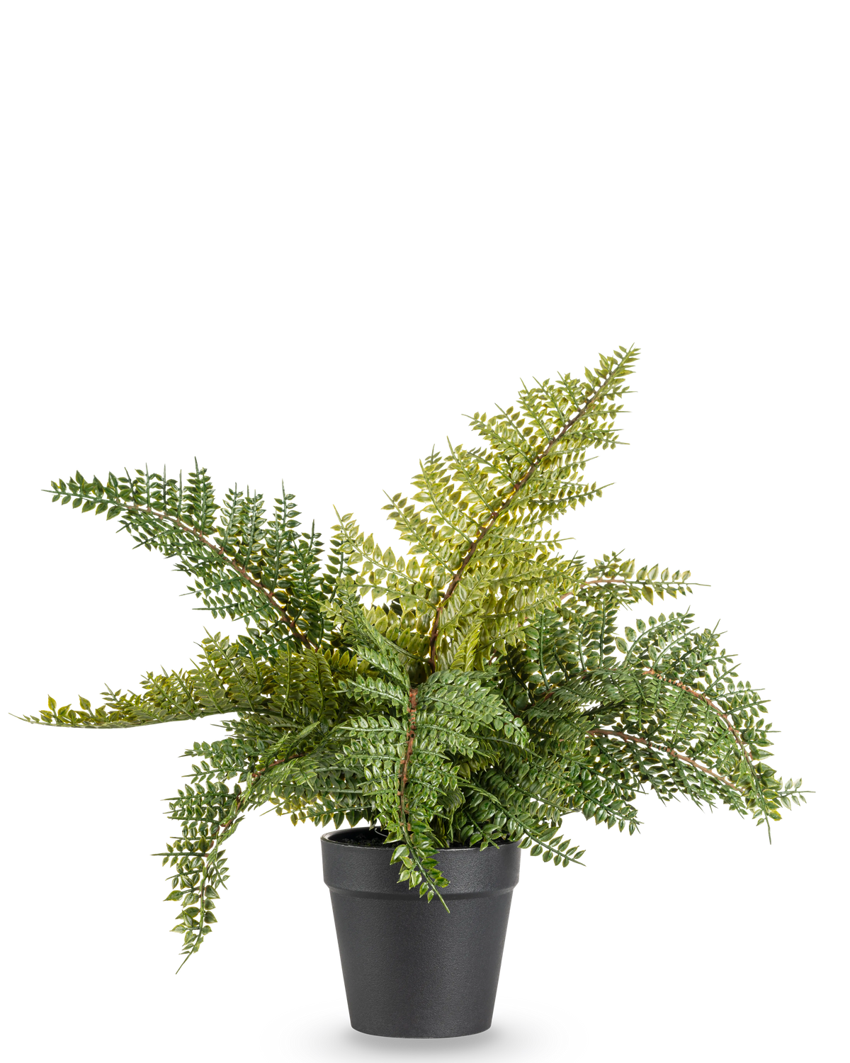 De Kunstplant Varen 33 cm is een weelderig groene kunstvaren met gevederde bladeren in een eenvoudige zwarte pot, afgebeeld tegen een effen witte achtergrond.
