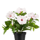 In een zwarte pot staat de Kunstbloem Petunia plant 25 cm roze, met verschillende lichtroze, vijfbladerige bloemen met een donkerroze hart en gele meeldraden, tegen een effen witte achtergrond.