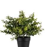 De Kunstplant Pumila 25 cm is een kleine kunstplant in pot met weelderige groene bladeren in een eenvoudige zwarte pot, afgebeeld tegen een effen witte achtergrond.