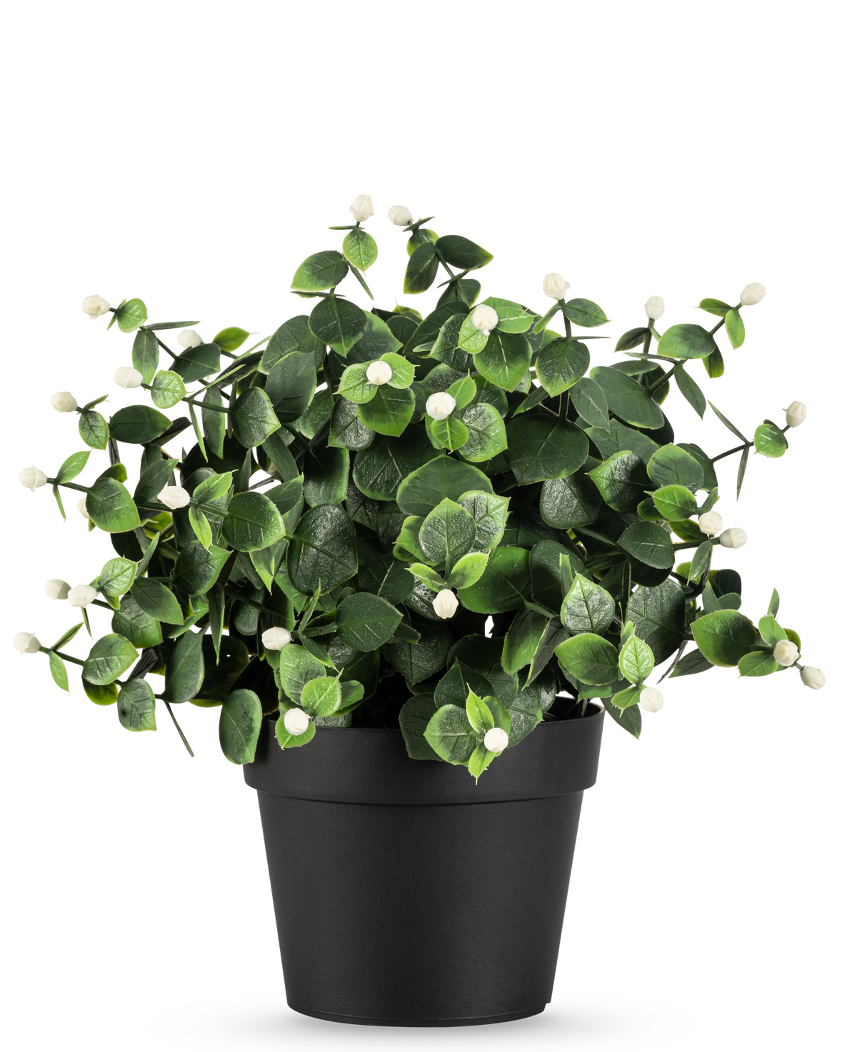 De Kunstplant Eucalyptus wit in pot UV 22 cm heeft dichte groene bladeren en kleine witte knoppen in een eenvoudige zwarte pot, perfect om elke ruimte op te fleuren.