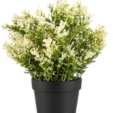 De Kunstplant Buxus in pot UV 23 cm is een kleine kunstplant in pot met dicht groen blad in een eenvoudige zwarte pot, perfect om elke ruimte op te fleuren.