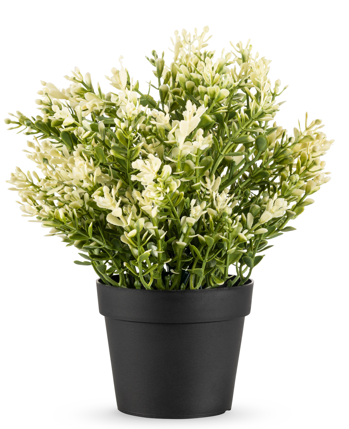 De Kunstplant Buxus in pot UV 23 cm is een kleine kunstplant in pot met dicht groen blad in een eenvoudige zwarte pot, perfect om elke ruimte op te fleuren.