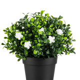 De Kunstplant Pumila in pot UV 21cm is een kleine kunstplant met dichte groene bladeren en delicate witte bloemen, in een eenvoudige zwarte pot tegen een effen witte achtergrond.