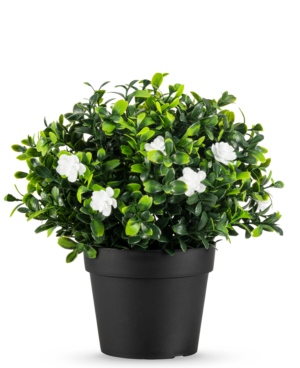 De Kunstplant Pumila in pot UV 21cm is een kleine kunstplant met dichte groene bladeren en delicate witte bloemen, in een eenvoudige zwarte pot tegen een effen witte achtergrond.