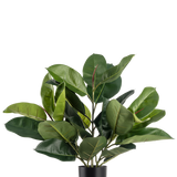 De Kunstplant Rubberplant 51 cm heeft weelderige, brede diepgroene bladeren in een eenvoudige zwarte pot, tegen een effen witte achtergrond.