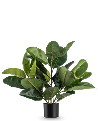 De Kunstplant Rubberplant 51 cm heeft weelderige, brede diepgroene bladeren in een eenvoudige zwarte pot, tegen een effen witte achtergrond.