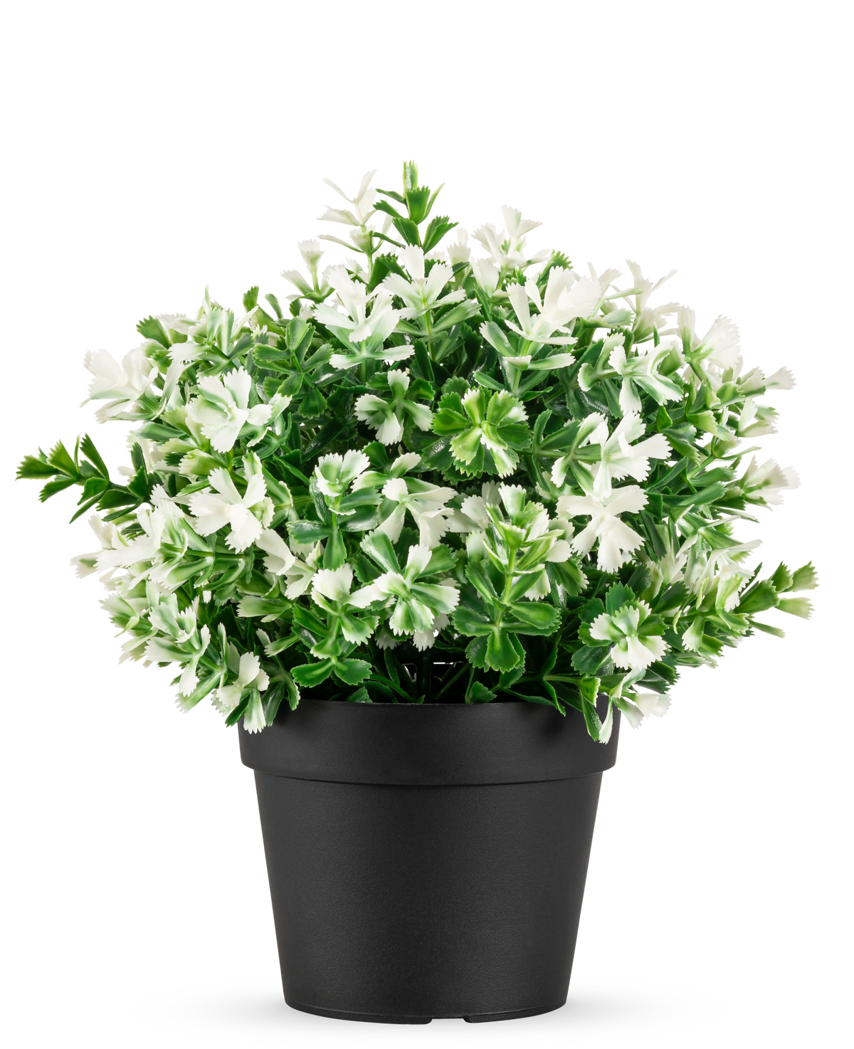 De Kunstplant Buxus wit in pot UV 19 cm heeft dichte groene bladeren en talrijke witte bloemen, gerangschikt in een eenvoudige zwarte pot tegen een effen witte achtergrond.
