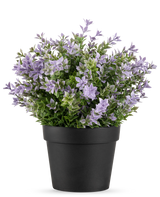 De Kunstplant Buxus paars 22 cm UV heeft dicht groen blad en trossen kleine, lichtpaarse bloemen in een eenvoudige zwarte pot, tegen een witte achtergrond.