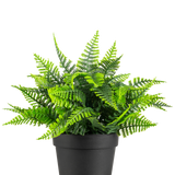 De Kunstplant Varen in pot UV 23 cm heeft een levensechte groene varen met gevederde bladeren in een eenvoudige zwarte pot, tegen een witte achtergrond.