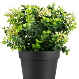 De Kunstplant Eucalyptus mix UV 22 cm heeft heldergroene bladeren en kleine witte bloemen in een eenvoudige zwarte pot, tegen een witte achtergrond.