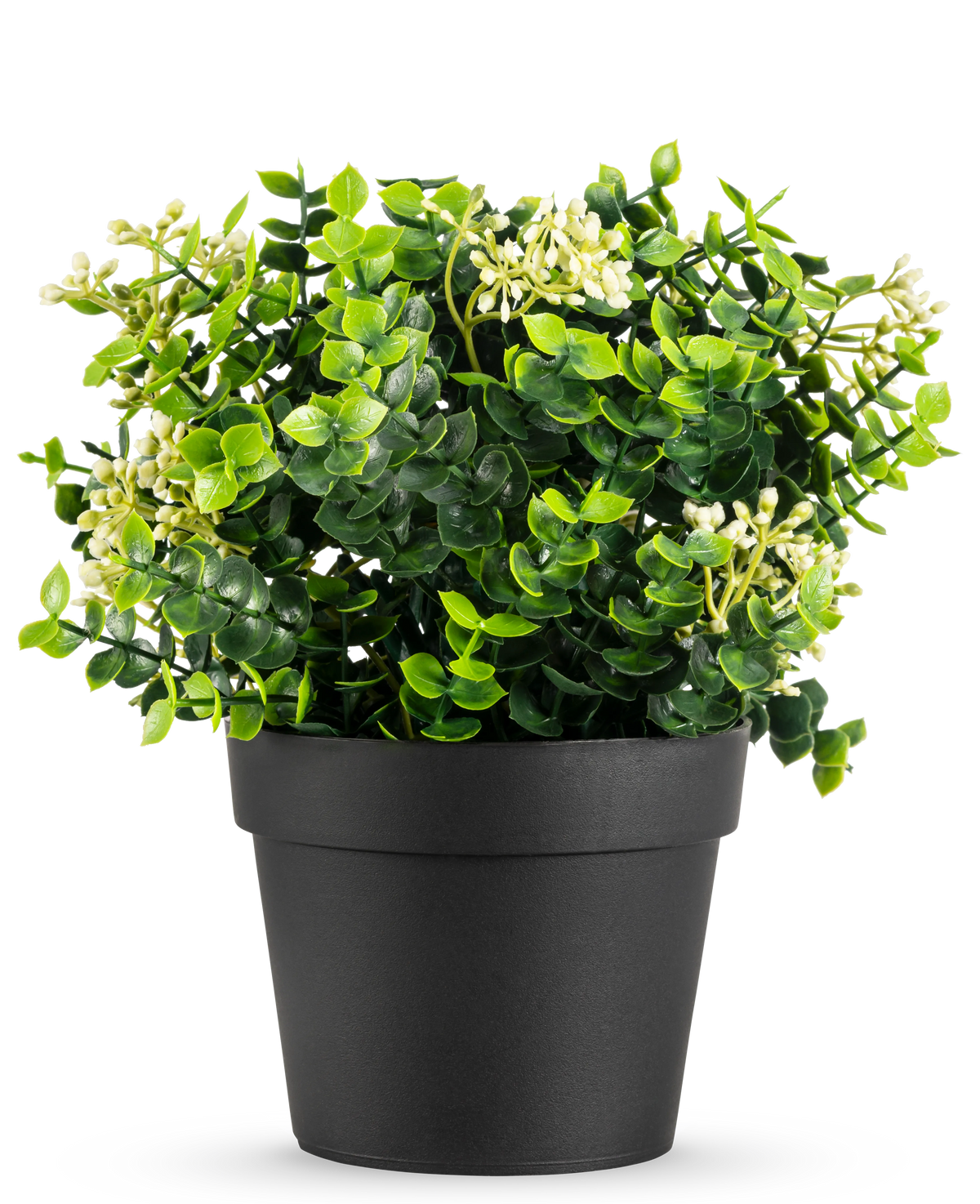 De Kunstplant Eucalyptus mix UV 22 cm heeft heldergroene bladeren en kleine witte bloemen in een eenvoudige zwarte pot, tegen een witte achtergrond.