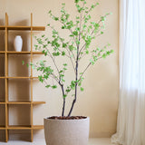 De Kunstplant Enkianthus 180 cm, een levensechte kunstboom met groene bladeren in een grote beige plantenbak gevuld met bruine stenen, staat in een minimalistische kamer met een houten plank, witte vaas, crèmekleurige muren en transparante witte gordijnen.
