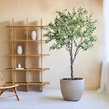 Een minimalistische leefruimte is voorzien van een houten stoel, de Kunst Olijfboom 200 cm als levensechte potplant en een houten plank met drie witte vazen. Zonlicht stroomt door witte gordijnen over een groot raam.