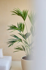 Een Kunstplant Kentia Palm 180 cm staat naast een wit gestoffeerde bank tegen een beige muur, met de rechterkant van het beeld gedeeltelijk verborgen door een mat of onscherp gedeelte.